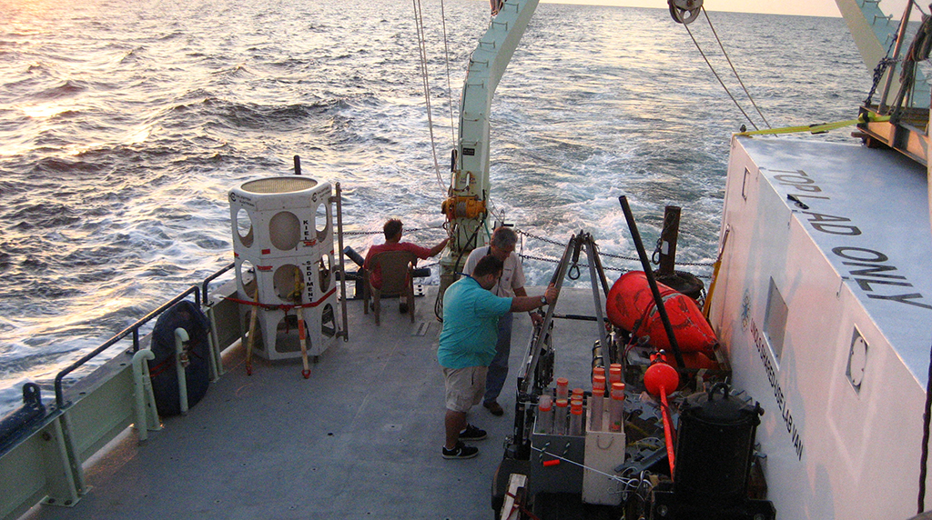 Study gives post-oil spill baseline for particle fluxes in the Northern Gulf of Mexico